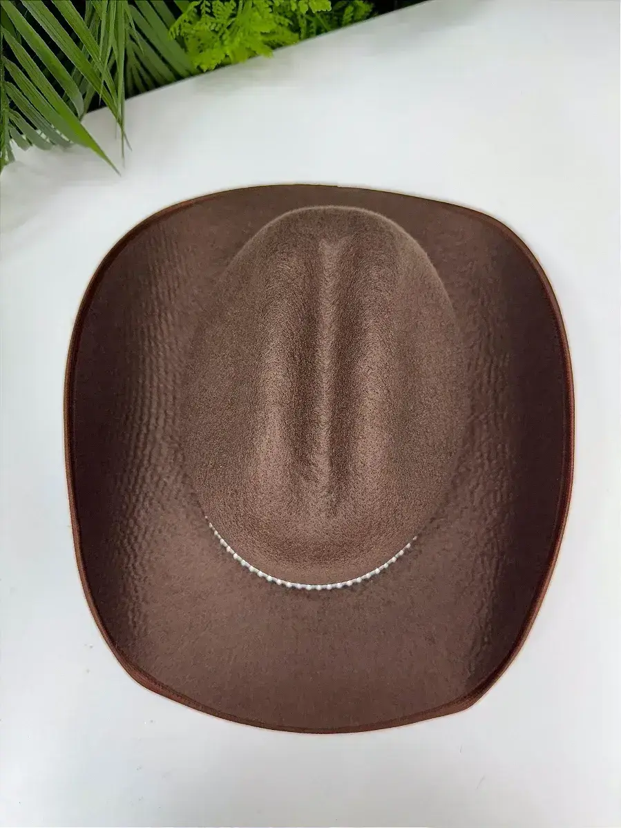 Chapeu chapéu marrom, foto 2