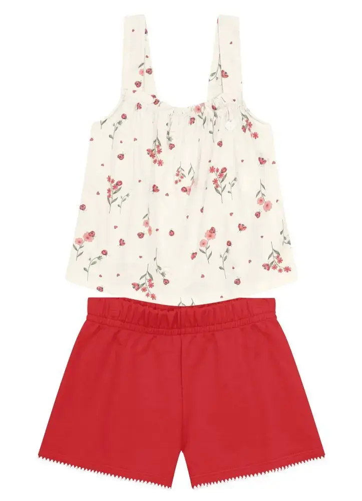 Conjunto jardim de borboletas