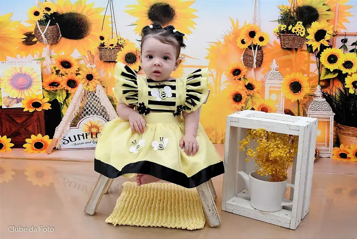 Vestido princesa abelha abelinha