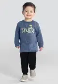Conjunto moletom blusão rex